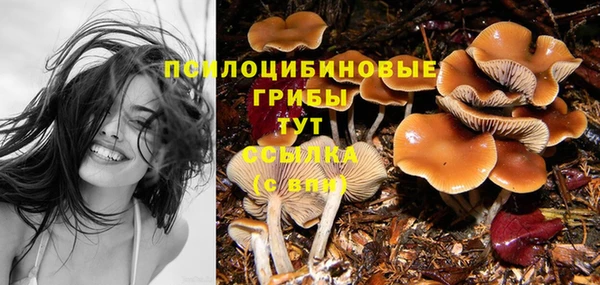 MDMA Алапаевск