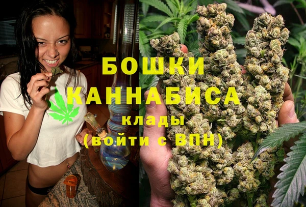 гидра Михайловск