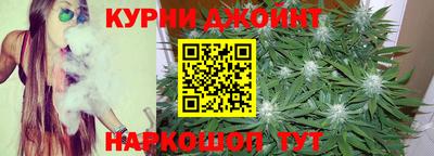 индика Волгодонск