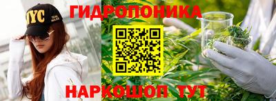 индика Волгодонск
