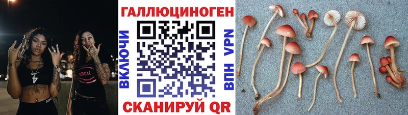 где купить наркотик  Кимовск  ОМГ ОМГ вход  Галлюциногенные грибы мухоморы 