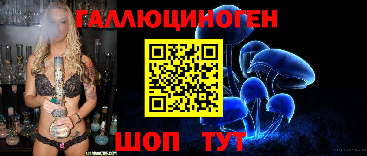 Кимовск  Псилоцибиновые грибы Psilocybe  Вход с VPN 