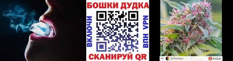 Бошки Шишки семена  продажа наркотиков  Кимовск 